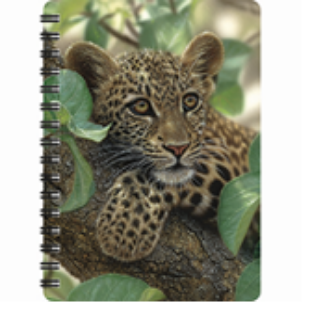 Obrázek z Notes 3D 11x14cm - jaguár (10) 